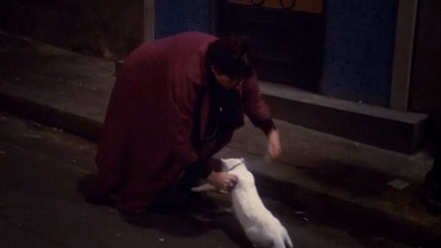 Une chambre en ville - woman with white cat on leash