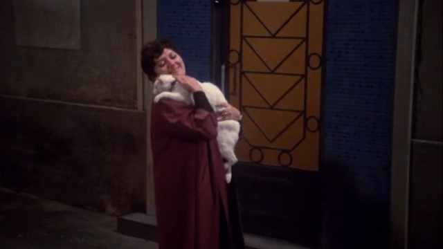 Une chambre en ville - woman hugging white cat