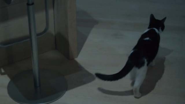 Unknown Caller - tuxedo cat Mr. Snuggles Oreo walking away
