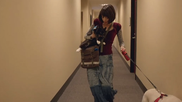Unleashed - Emma Kate Micucci sneaking tuxedo cat Ajax and dog Summit into work with her