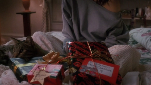 Untamed Heart - tabby cat sitting on bed amongst presents