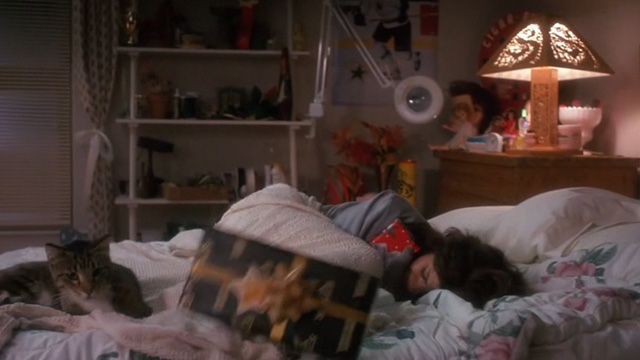 Untamed Heart - tabby cat sitting on bed with Caroline Marisa Tomei amongst presents