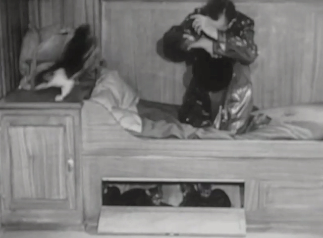 Utopia - Stan Laurel on bunk cringing as cat jumps down from above