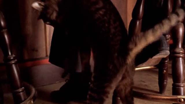 U Turn - tabby cat rubbing up against leg on barstool