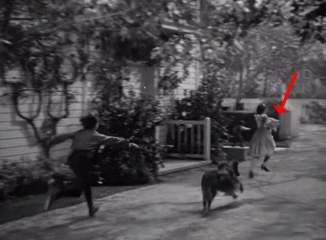 The Vanishing Virginian - Caroline Juanita Quigley running with white cat Tabitha