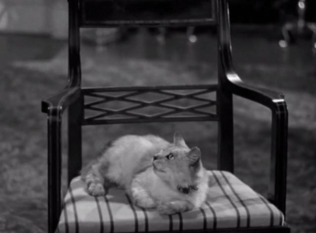 The Vanishing Virginian - white cat Tabitha on chair