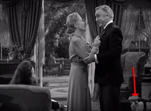 The Vanishing Virginian - white cat Tabitha on chair behind Yancey Frank Morgan with Rosa Spring Byington