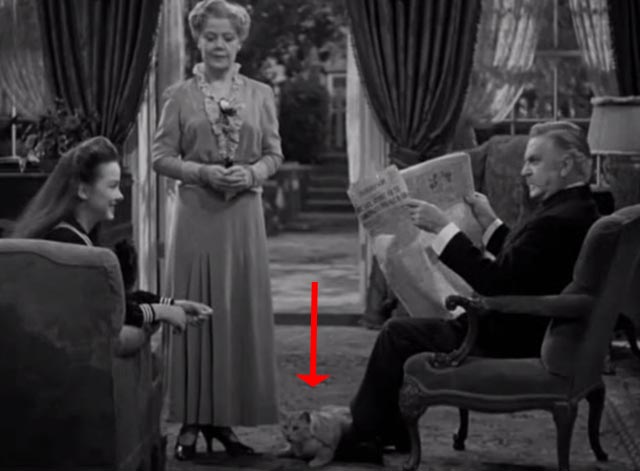 The Vanishing Virginian - white cat Tabitha across feet of Yancey Frank Morgan with Rosa Spring Byington and Rebecca Kathryn Grayson