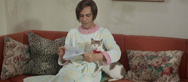 Vedo nudo - I See Naked - Ornella Nino Manfredi sitting on couch with tabby and white cat Fabiola wearing red ribbon