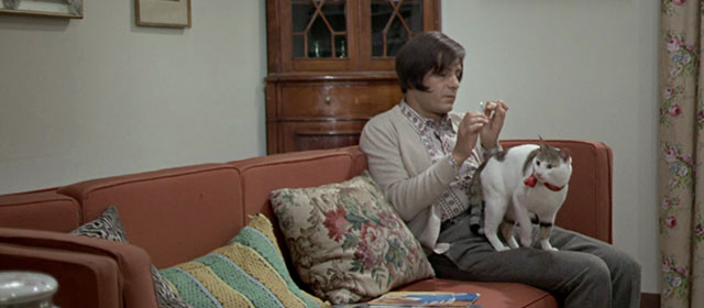 Vedo nudo - I See Naked - Ornella Nino Manfredi sitting on couch with tabby and white cat Fabiola wearing red ribbon