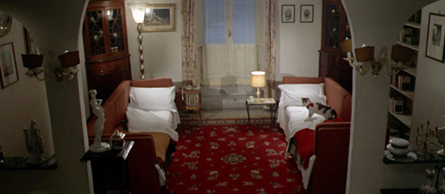 Vedo nudo - I See Naked - tabby and white cat Fabiola wearing red ribbon standing on sofa bed