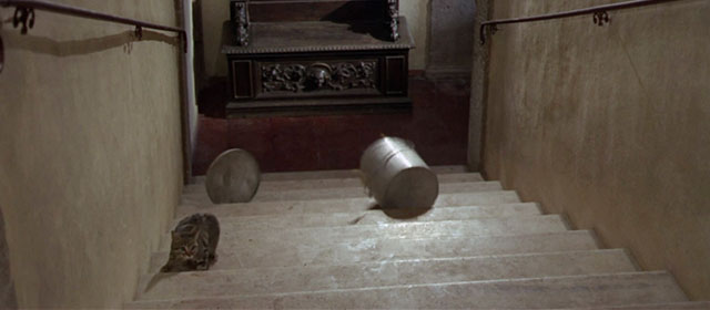 Vedo nudo - I See Naked - brown tabby cat after rolling down stairs in trash pail