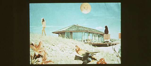 Vedo nudo - I See Naked - black cat in strange photograph