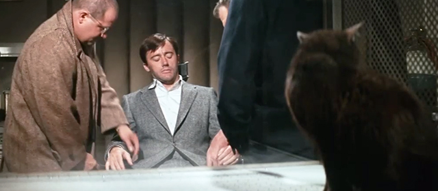 The Venetian Affair - Bill Fenner Robert Vaughn being tied to chair in room with black cat in glass tank