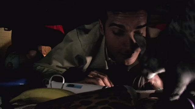 Venus & Vegas - Eric Eddie Guerra under bed with Mau cat