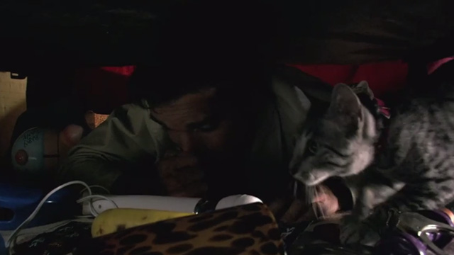 Venus & Vegas - Eric Eddie Guerra under bed with Mau cat