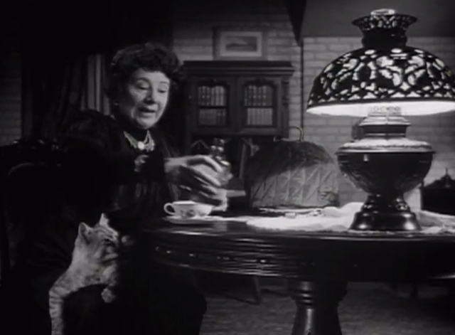 The Verdict - large long-haired tabby cat on Mrs. Benson Rosalind Ivan lap