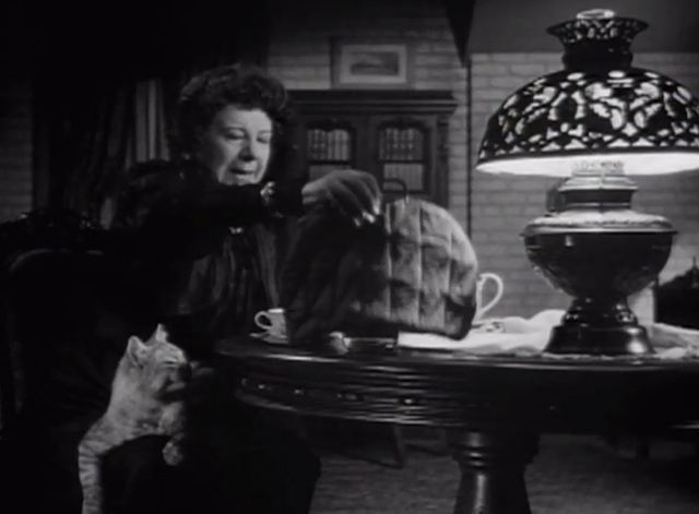 The Verdict - large long-haired tabby cat on Mrs. Benson Rosalind Ivan lap as she covers liquor with tea cozy