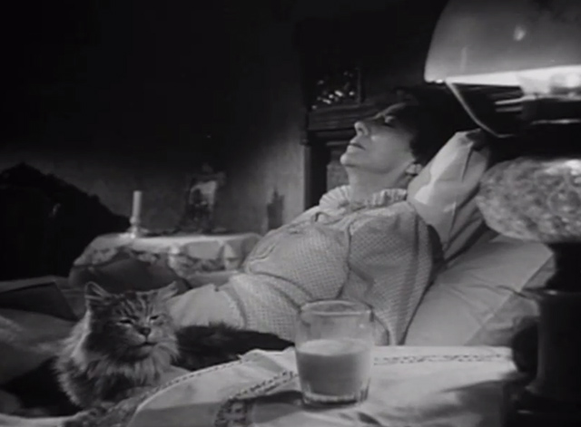 The Verdict - large long-haired tabby cat lying on bed with Mrs. Benson Rosalind Ivan