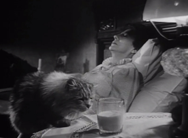The Verdict - large long-haired tabby cat lying sneaking up to milk with Mrs. Benson Rosalind Ivan