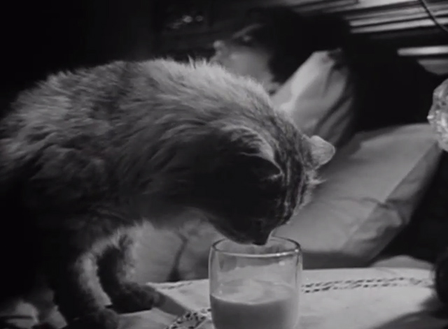 The Verdict - large long-haired tabby cat sniffing in glass of milk with Mrs. Benson Rosalind Ivan