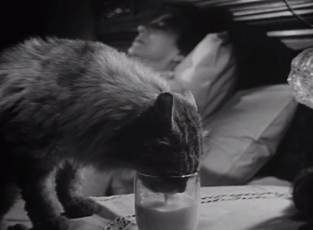 The Verdict - large long-haired tabby cat drinking from glass of milk with Mrs. Benson Rosalind Ivan