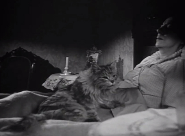 The Verdict - drunk large long-haired tabby cat drinking from glass of milk with Mrs. Benson Rosalind Ivan