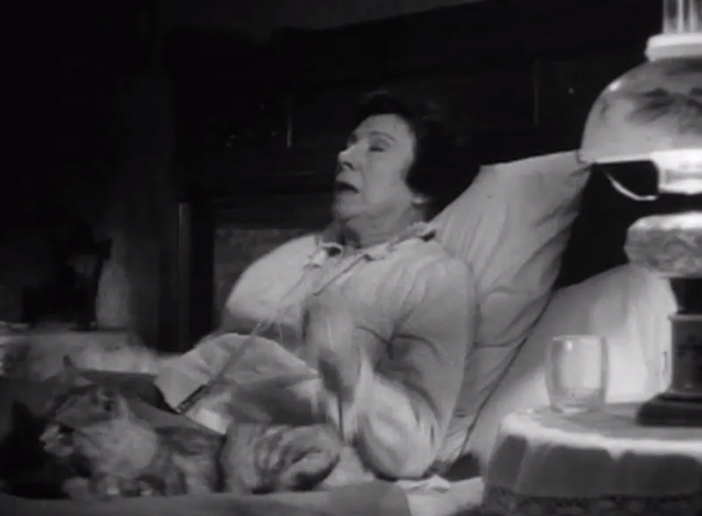 The Verdict - large long-haired tabby cat lying on bed with sleeping Mrs. Benson Rosalind Ivan