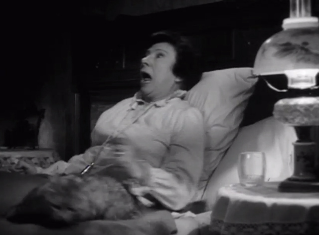 The Verdict - large long-haired tabby cat jumping off bed when Mrs. Benson Rosalind Ivan is startled awake