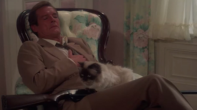 A View to a Kill - Himalayan cat Pussy sitting in James Bond Roger Moore lap with rifle
