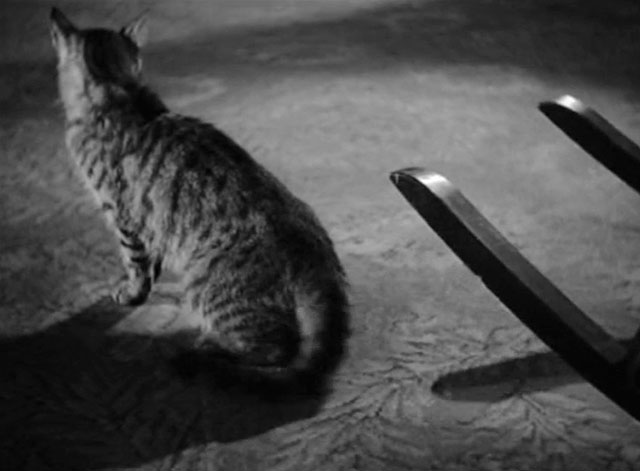 The Villain Still Pursued Her - tabby cat sitting by rocking chair