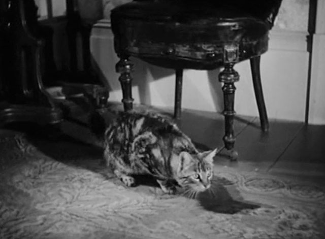 The Villain Still Pursued Her - tabby cat crouching on floor