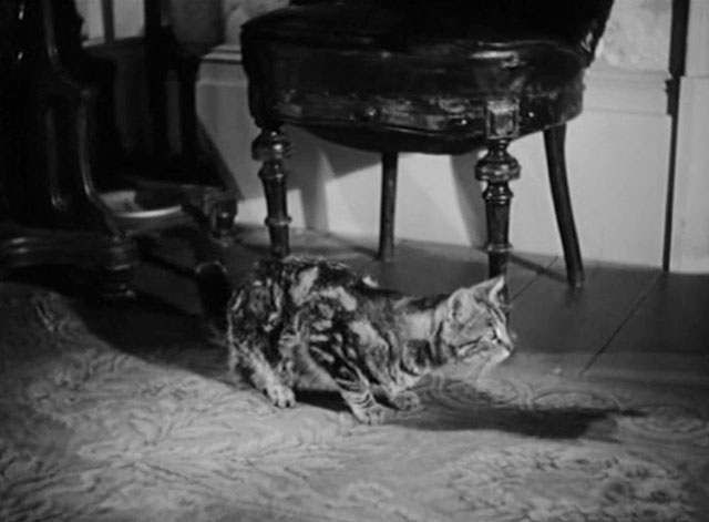 The Villain Still Pursued Her - tabby cat relaxed again