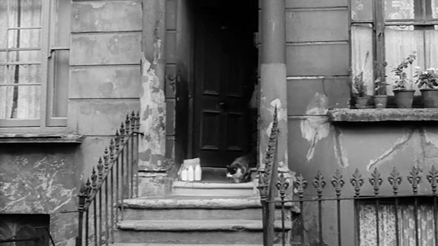 Violent Moment - tuxedo cat exiting rooming house front door