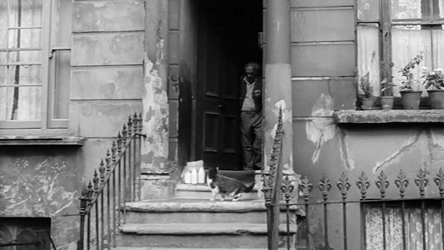 Violent Moment - tuxedo cat on front step of rooming house with Mr. Hendricks Martin Miller