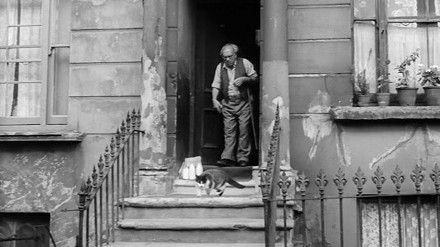 Violent Moment - tuxedo cat on front step of rooming house with Mr. Hendricks Martin Miller