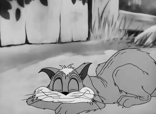 Wacky Blackout - old cartoon Tom cat sleeping