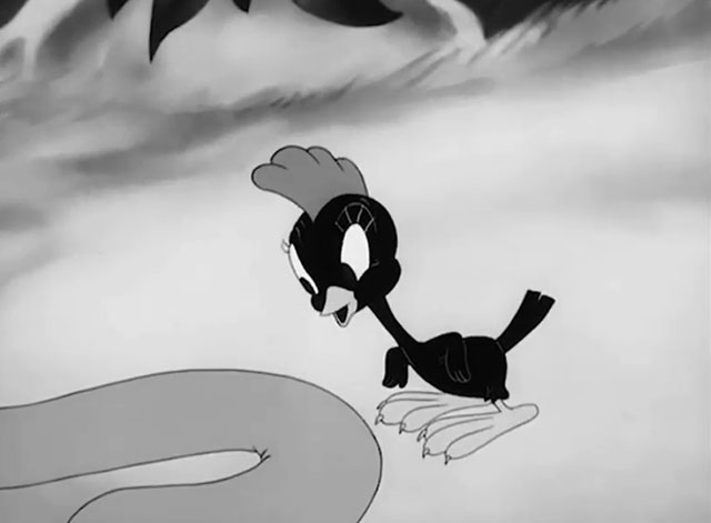 Wacky Blackout - little woodpecker looking at Tom cat's tail