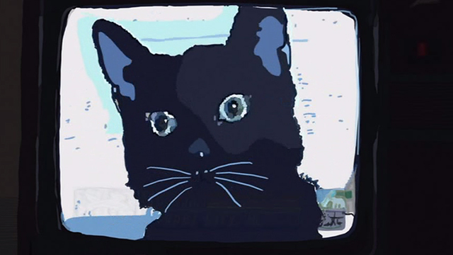 Waking Life - black cat on television screen