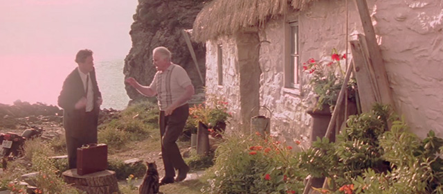 Waking Ned Devine - tabby cat outside cottage with Jackie O'Shea Ian Bannen and lottery official