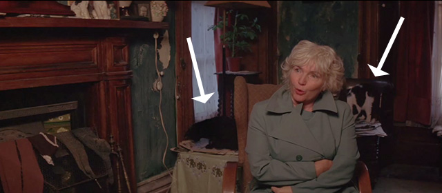 Waking Ned Devine - Annie Fionnula Flanagan with black and tuxedo cats in background