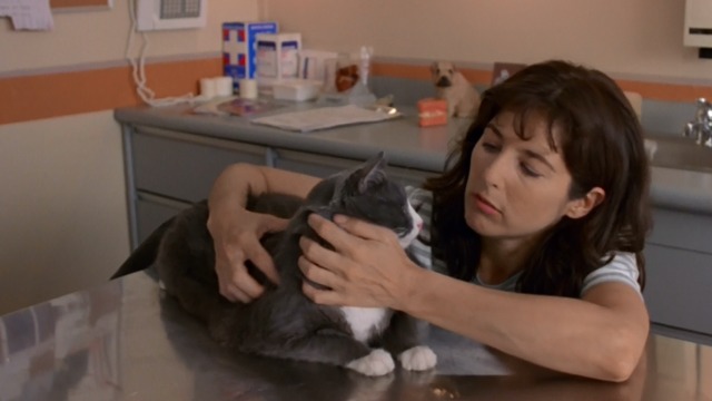 Walking and Talking - Amelia Catherine Keener at vet with gray and white cat Big Jeans