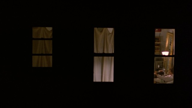 Walking and Talking - Amelia Catherine Keener in bed with gray and white cat Big Jeans through window