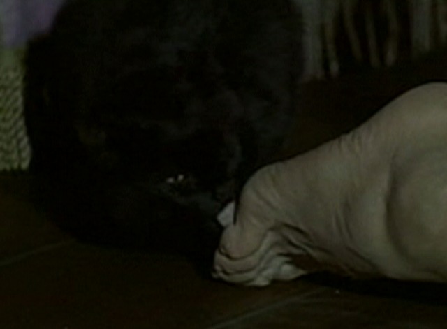 Waltz of the Toreadors - black cat licking Lt. Finch's foot under bed