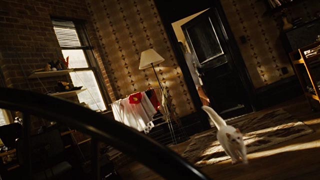 Wanted - white cat Annabelle crossing room