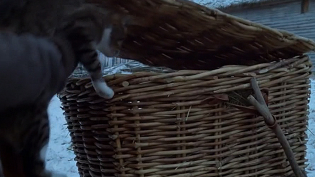 Warlock - man placing cat in basket