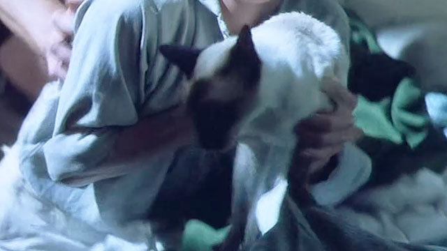 Warlords of Atlantis - Sandy Ashley Knight grabbing Siamese cat