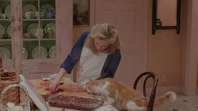 The War of the Roses - ginger and white longhair tabby cat Kitty Kitty Tyler in kitchen with Barbara Kathleen Turner