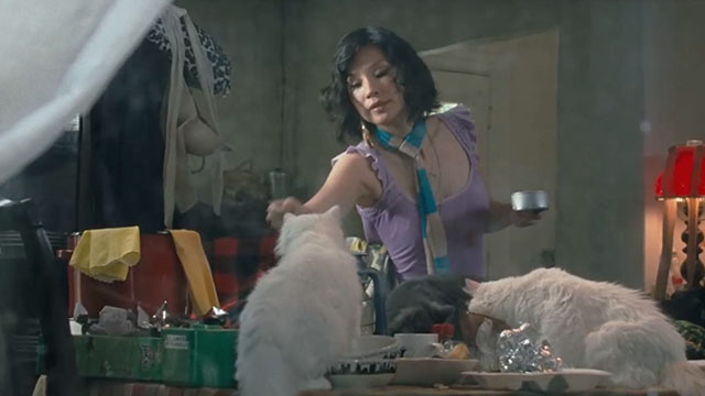 Watching the Detectives - Violet Lucy Liu feeding grey and white longhair cats