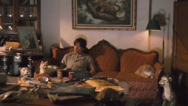 Watching the Detectives - Neil Cillian Murphy sitting on couch with white cat and ginger and tabby cat